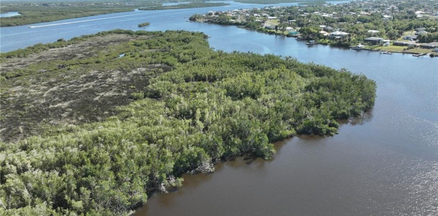 Land in Punta Gorda, Florida № 2160004