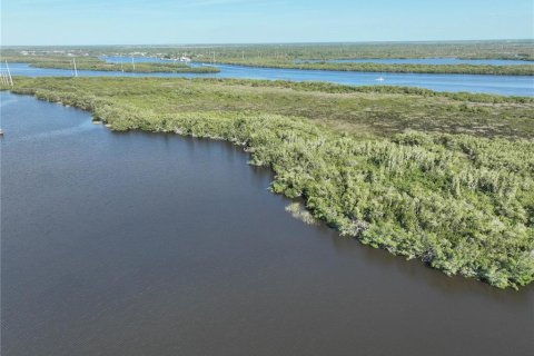 Land in Punta Gorda, Florida № 2160004 - photo 2