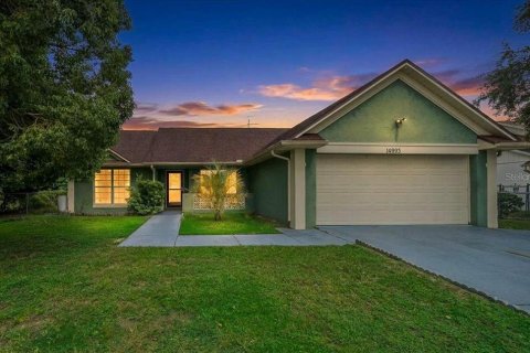 Villa ou maison à Ocala, Floride 3 chambres, 154.03 m2 № 2364903