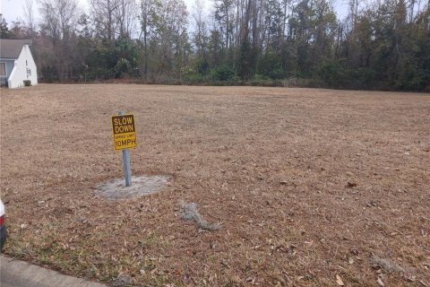 Land in Kissimmee, Florida № 2159840 - photo 2