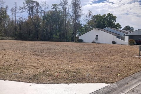 Land in Kissimmee, Florida № 2159840