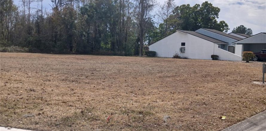 Land in Kissimmee, Florida № 2159840