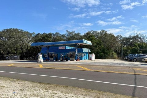 Propiedad comercial en Tarpon Springs, Florida 127.93 m2 № 2094477