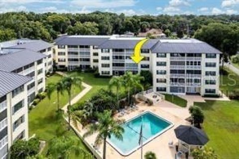 Condo à Mount Dora, Floride, 2 chambres  № 2103020