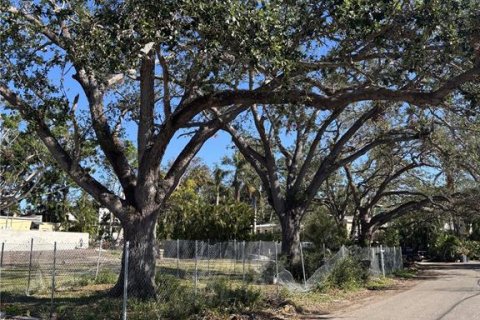 Terreno en venta en Sarasota, Florida № 1746509 - foto 1