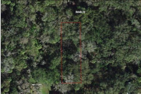 Land in Brandon, Florida № 1274222 - photo 3