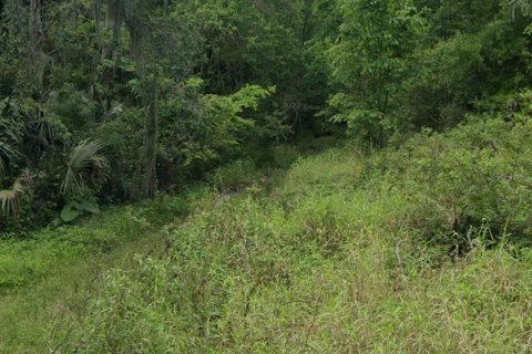 Land in Brandon, Florida № 1274222 - photo 1