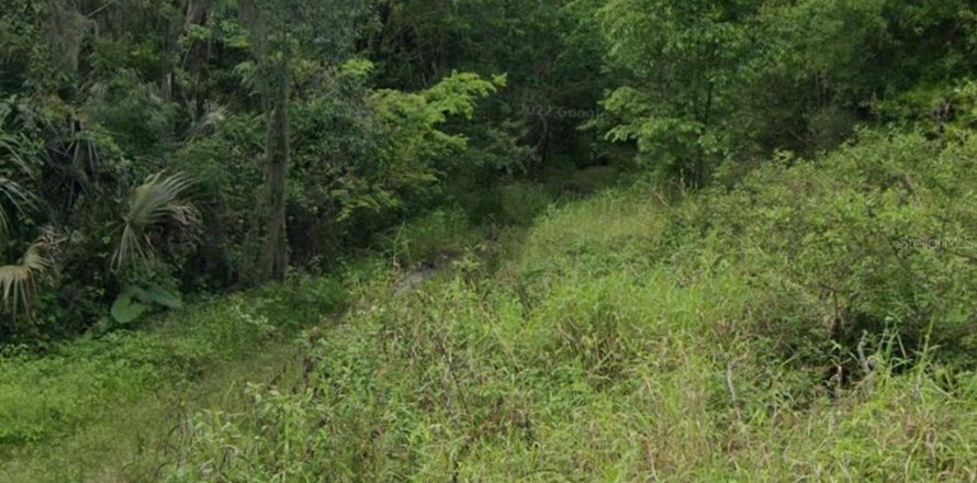 Land in Brandon, Florida № 1274222