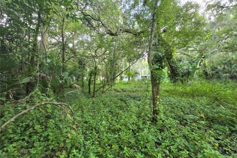 Land in Brandon, Florida № 1274222 - photo 5