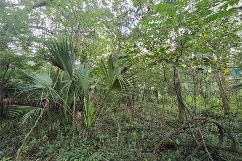 Land in Brandon, Florida № 1274222 - photo 2