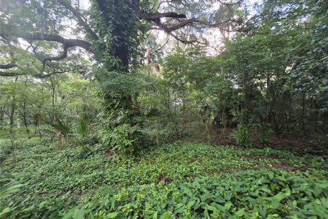 Land in Brandon, Florida № 1274222 - photo 4