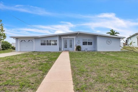 House in Port Charlotte, Florida 2 bedrooms, 164.72 sq.m. № 2100027