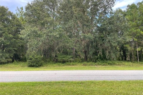 Terreno en venta en Williston, Florida № 1903252 - foto 3