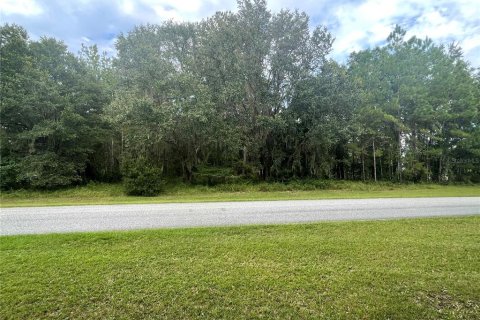 Terreno en venta en Williston, Florida № 1903252 - foto 2