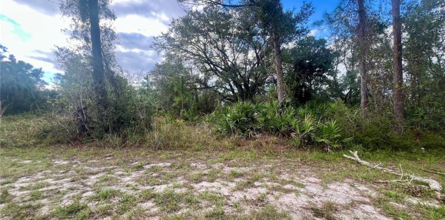 Terrain à Port Charlotte, Floride № 2229560