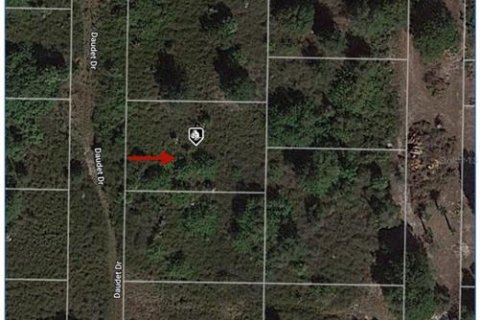 Land in Punta Gorda, Florida № 2161810 - photo 2