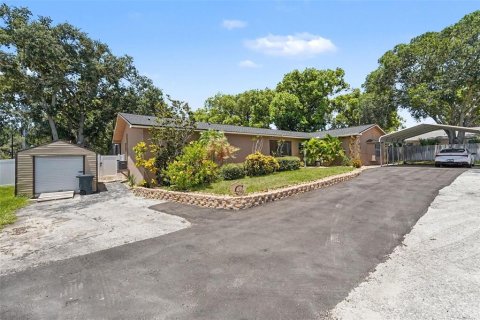 House in Palm Harbor, Florida 4 bedrooms, 259.66 sq.m. № 2298149