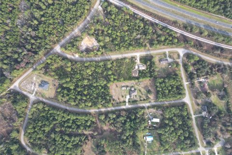Land in Hawthorne, Florida № 2163676 - photo 8