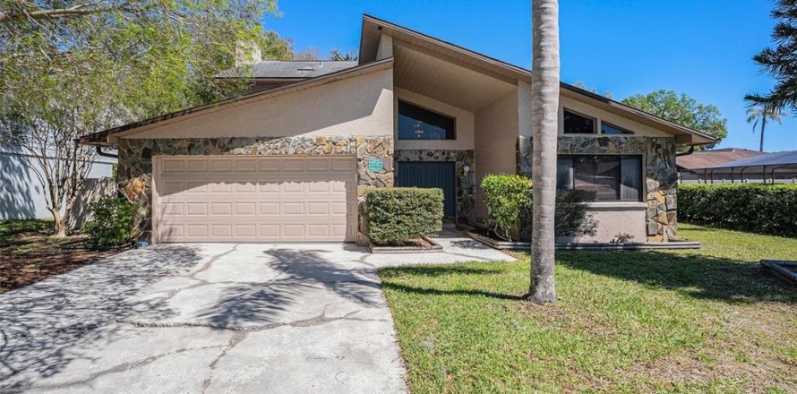 House in Tampa, Florida 4 bedrooms, 217.95 sq.m. № 1832227
