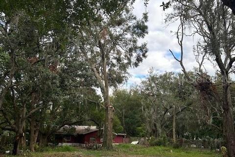 Casa en venta en Mount Dora, Florida, 2 dormitorios, 88.44 m2 № 1564744 - foto 9