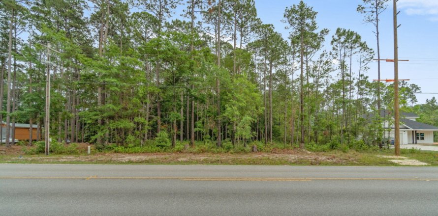 Land in Freeport, Florida № 561193
