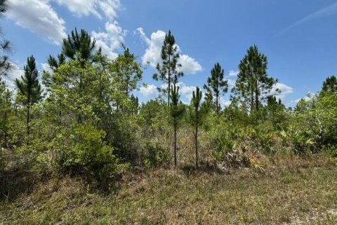 Land in Indian lake estates, Florida № 2162492 - photo 2
