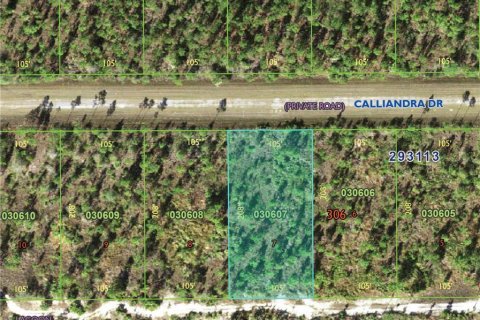 Land in Indian lake estates, Florida № 2162492 - photo 3