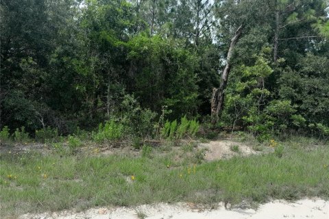 Terrain à vendre à Morriston, Floride № 1845357 - photo 3