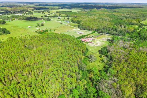 Land in Groveland, Florida № 2118481 - photo 3