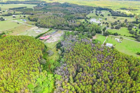 Land in Groveland, Florida № 2118481 - photo 12