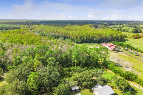 Land in Groveland, Florida № 2118481 - photo 7