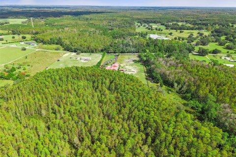 Land in Groveland, Florida № 2118481 - photo 4
