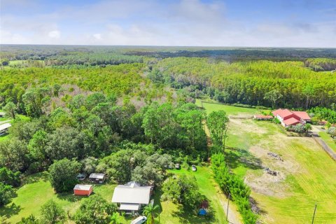 Land in Groveland, Florida № 2118481 - photo 6