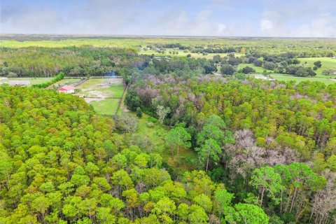 Land in Groveland, Florida № 2118481 - photo 15