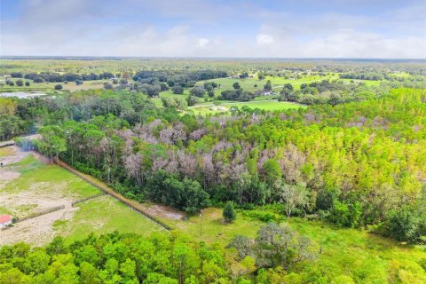 Land in Groveland, Florida № 2118481 - photo 10