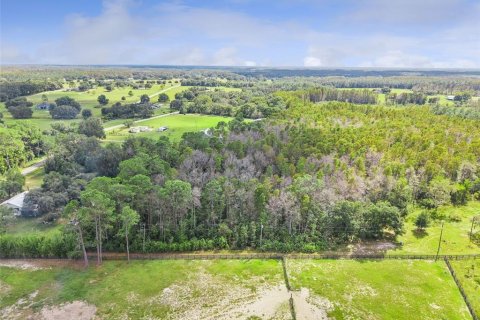 Land in Groveland, Florida № 2118481 - photo 9