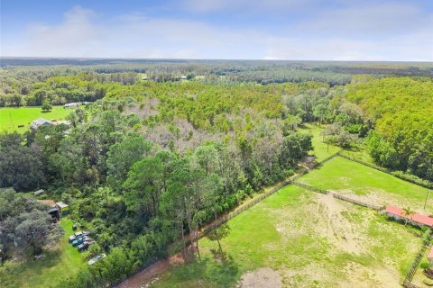 Land in Groveland, Florida № 2118481 - photo 8