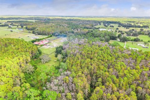 Land in Groveland, Florida № 2118481 - photo 11
