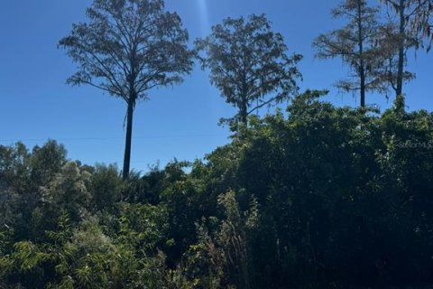 Terreno en Palm Bay, Florida № 2163831