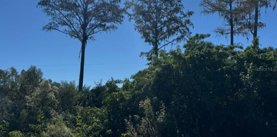 Land in Palm Bay, Florida № 2163831