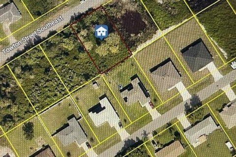 Land in Palm Bay, Florida № 2163831 - photo 2