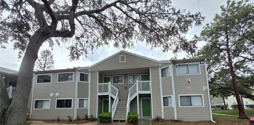 Condo à Largo, Floride, 1 chambre № 1769113