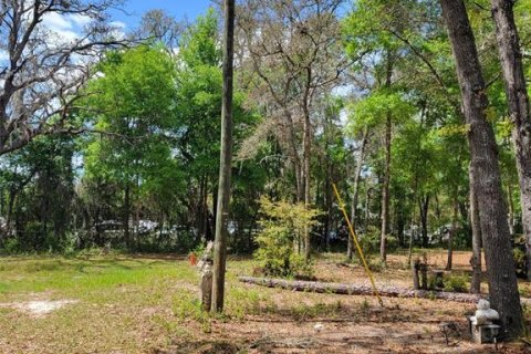 Commercial property in Belleview, Florida 371.79 sq.m. № 2103859 - photo 10