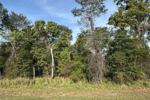 Terrain à vendre à Ocala, Floride № 2221685 - photo 7