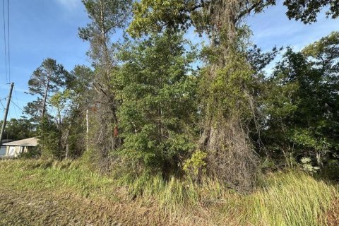 Land in Ocala, Florida № 2221685