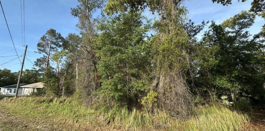 Terrain à Ocala, Floride № 2221685