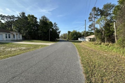 Terrain à vendre à Ocala, Floride № 2221685 - photo 6