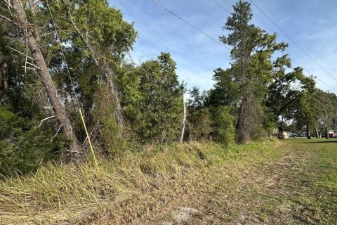 Terrain à vendre à Ocala, Floride № 2221685 - photo 2