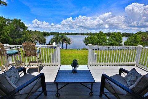 Casa en venta en Ocklawaha, Florida, 4 dormitorios, 381.74 m2 № 1794992 - foto 11
