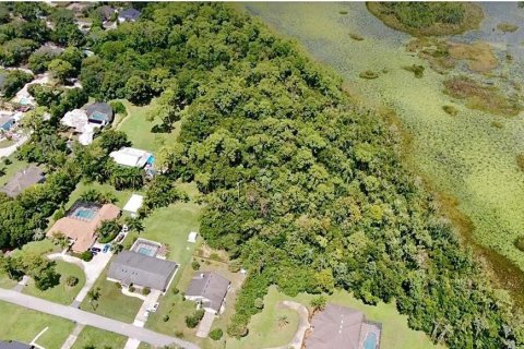 Land in Longwood, Florida № 1793937 - photo 2